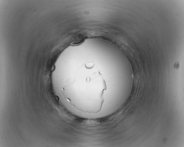 X0000091940327200709051308
