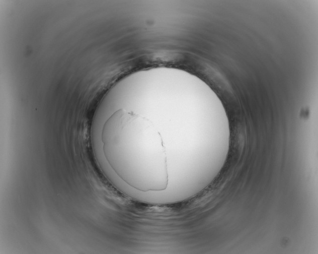 X0000091940328200709051308