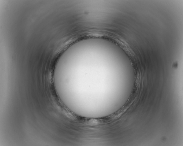 X0000091940330200709051308