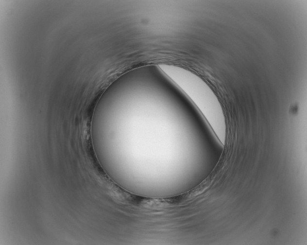 X0000091940331200709051308