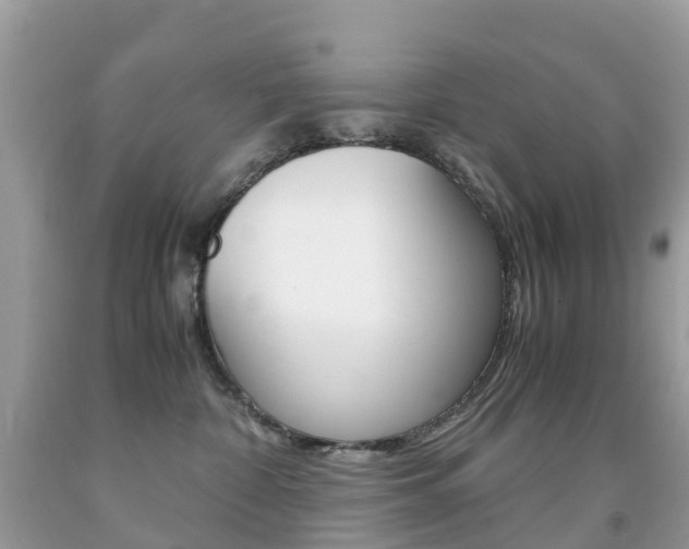 X0000091940332200709051308