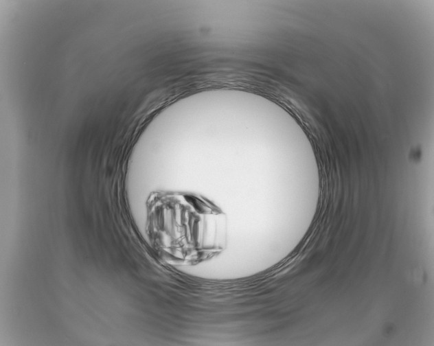 X0000091940333200709051308
