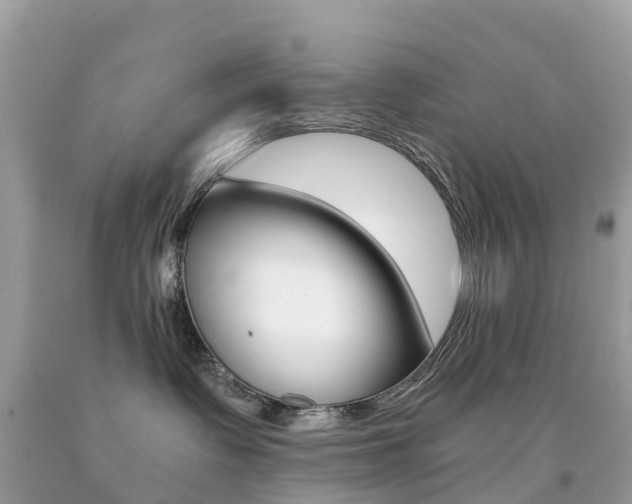 X0000091940335200709051308