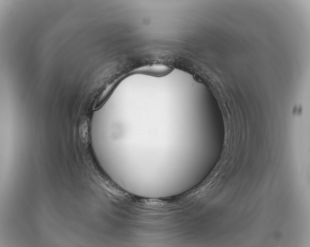 X0000091940336200709051308