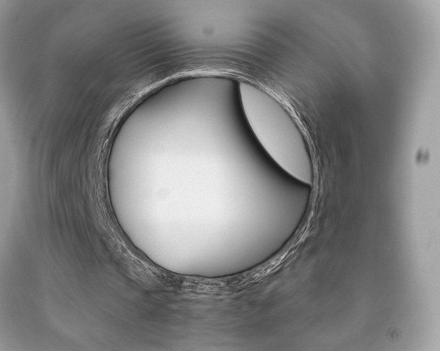 X0000091940337200709051307