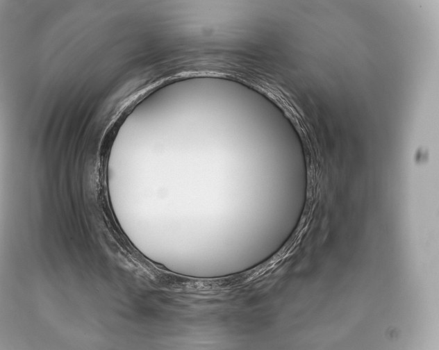 X0000091940338200709051307