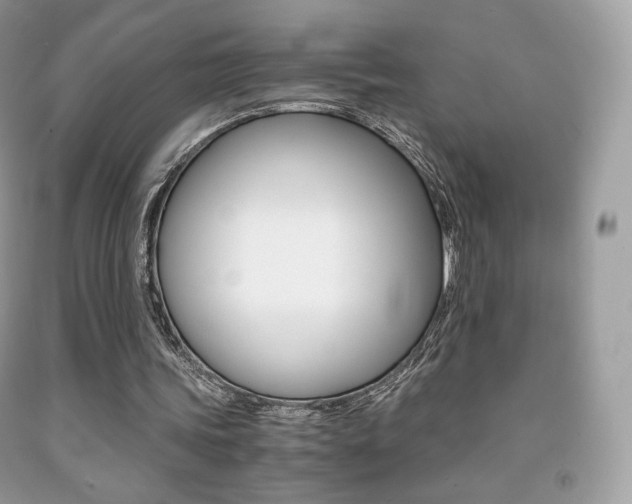 X0000091940339200709051307