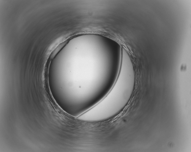 X0000091940340200709051307
