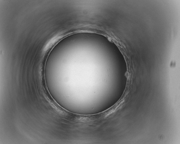 X0000091940341200709051307