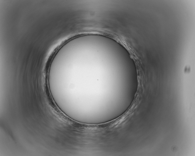 X0000091940342200709051307