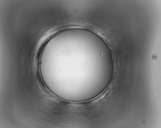 X0000091940343200709051307