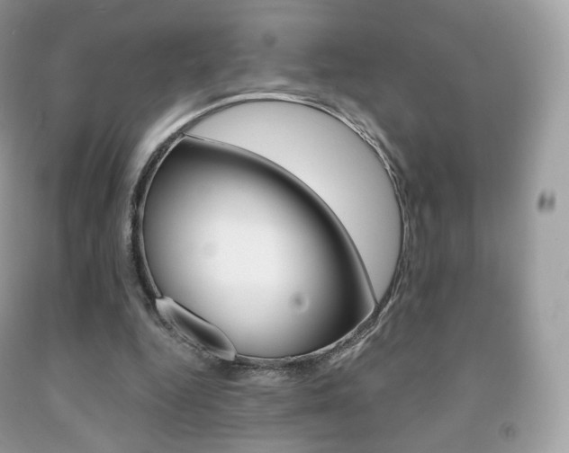 X0000091940344200709051307