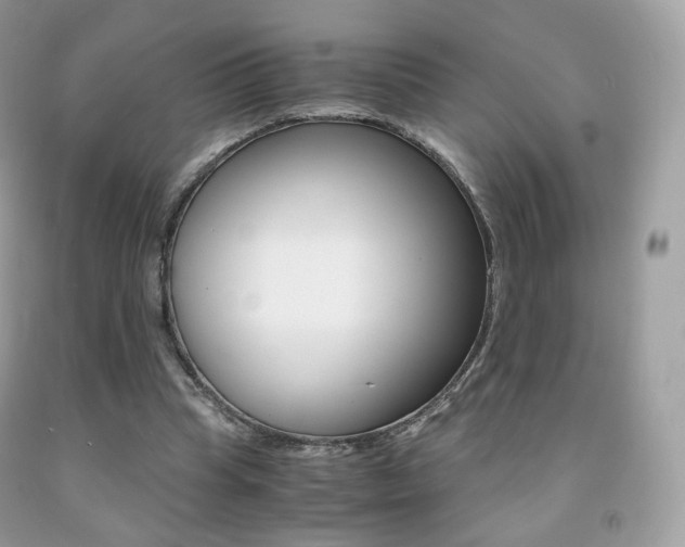 X0000091940345200709051307