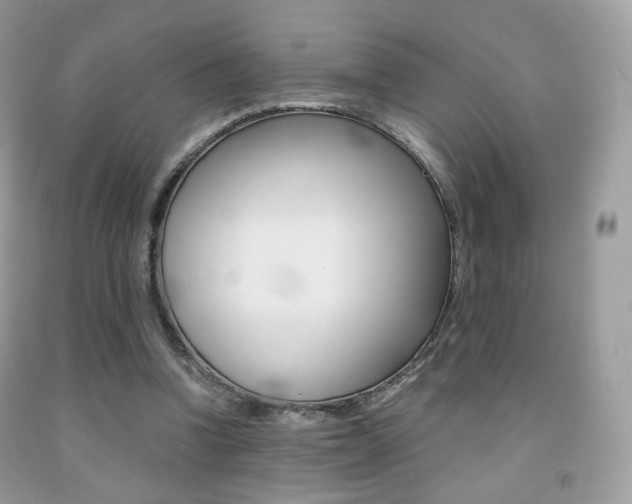 X0000091940346200709051307