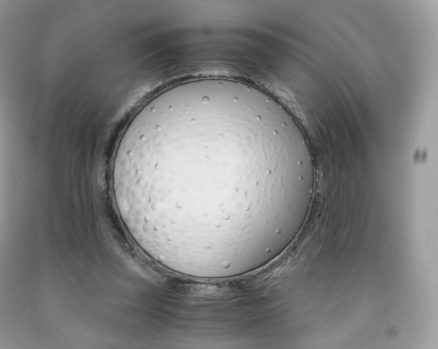X0000091940347200709051307