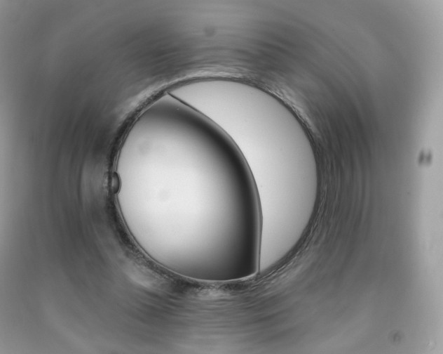 X0000091940348200709051307