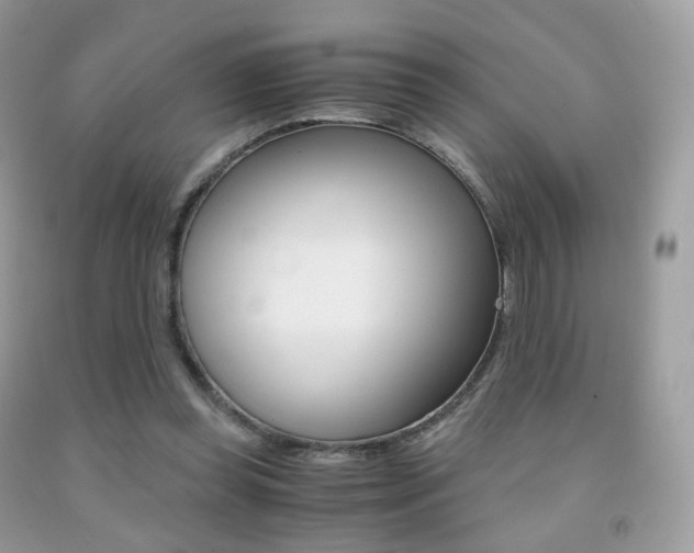 X0000091940349200709051307
