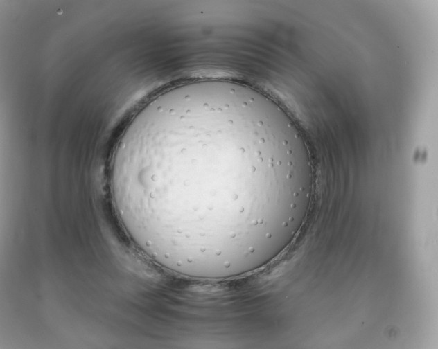 X0000091940351200709051307