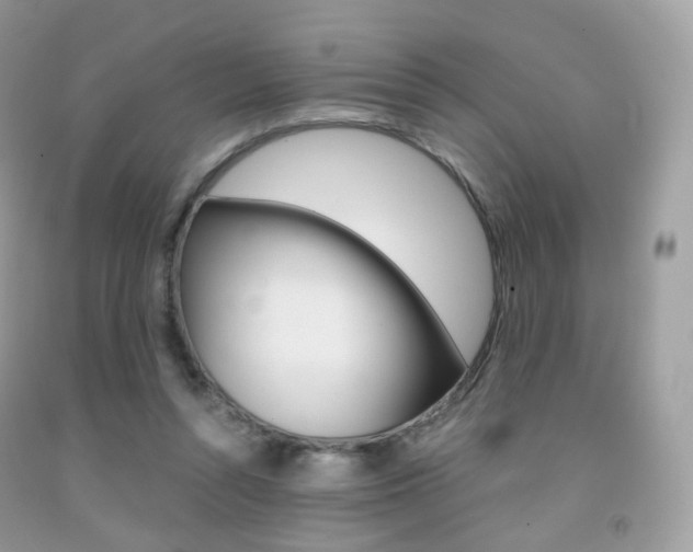 X0000091940352200709051307