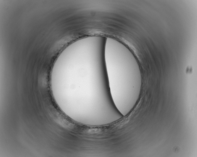X0000091940353200709051307