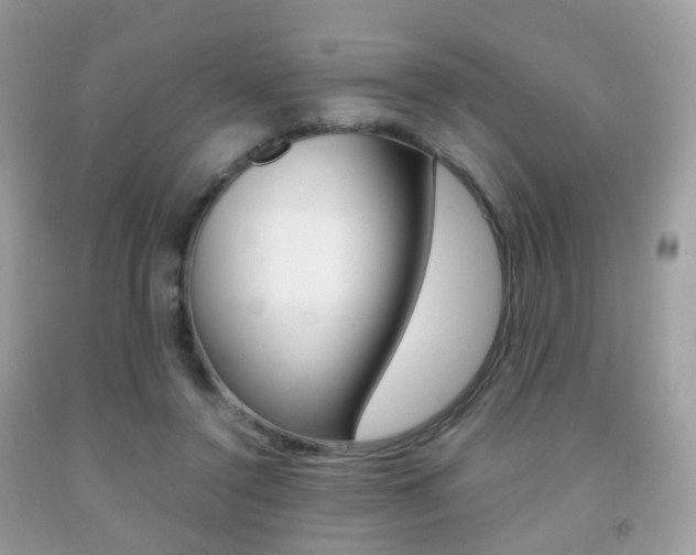 X0000091940356200709051307
