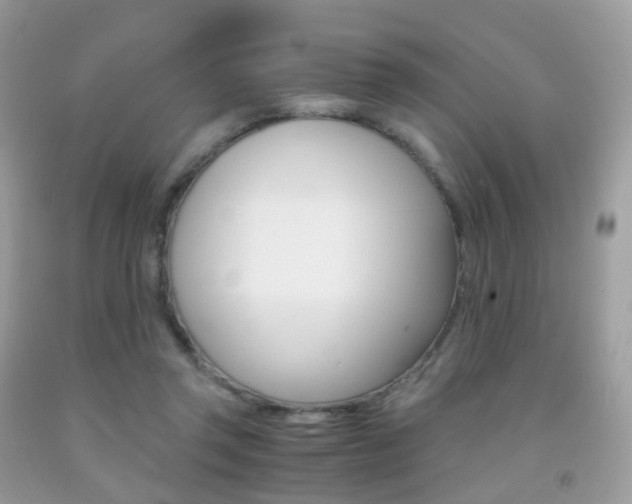 X0000091940357200709051307