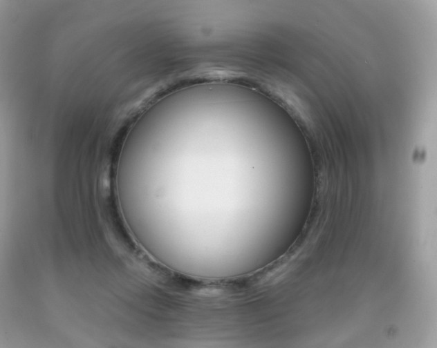 X0000091940358200709051307