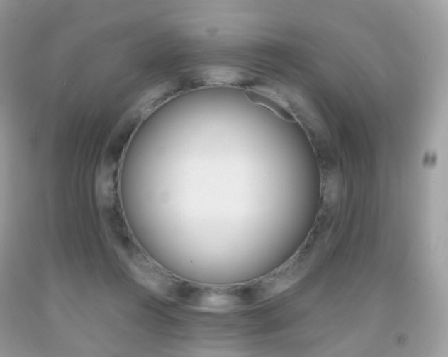 X0000091940360200709051307