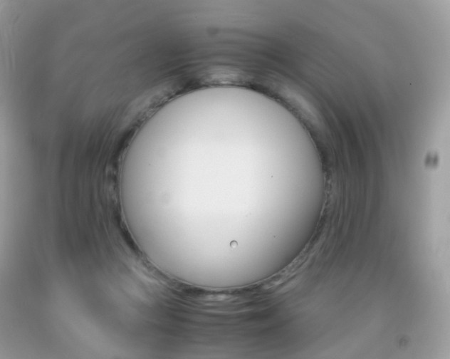 X0000091940361200709051307