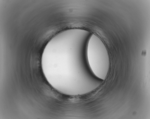 X0000091940362200709051307