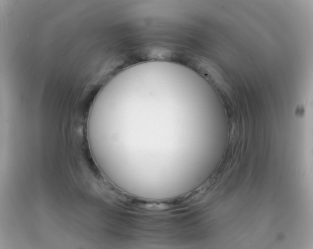X0000091940363200709051307