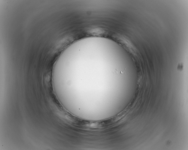 X0000091940365200709051307