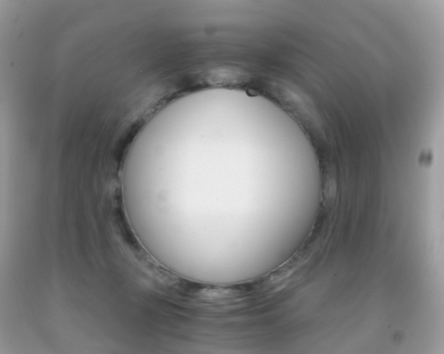 X0000091940367200709051307