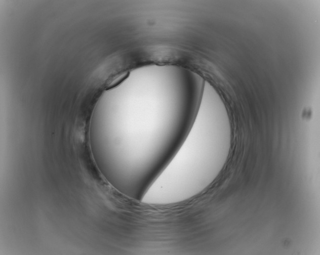 X0000091940368200709051307