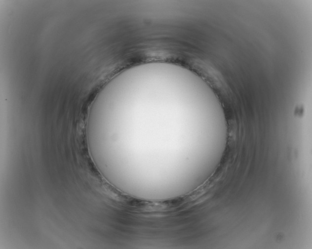 X0000091940369200709051308