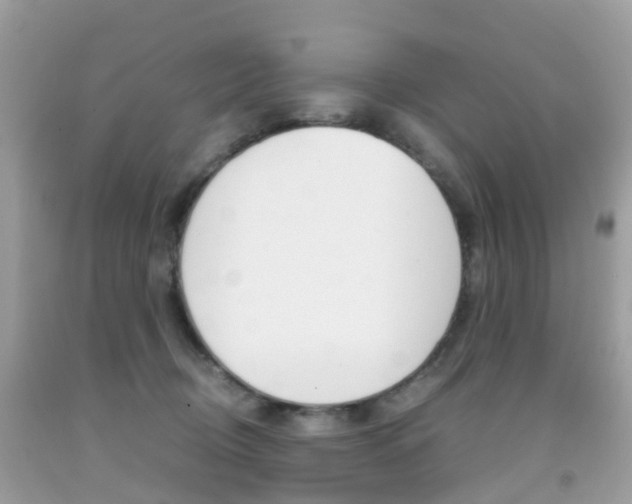 X0000091940370200709051308