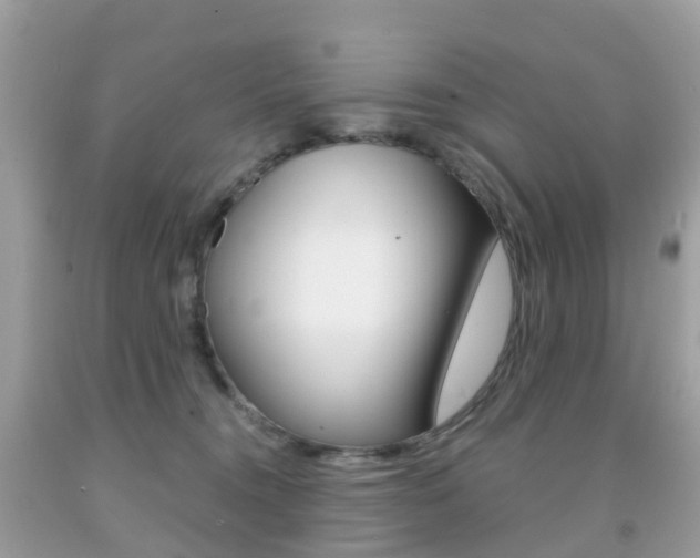 X0000091940372200709051308