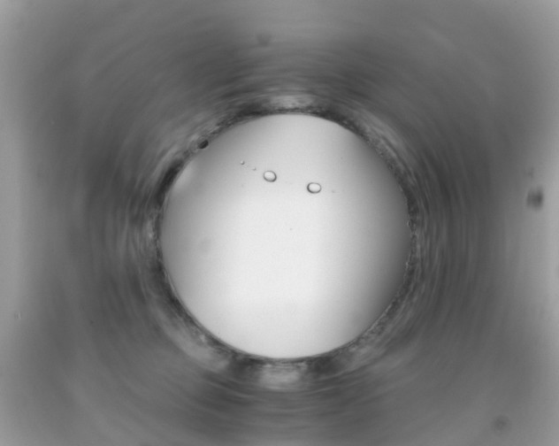 X0000091940373200709051308