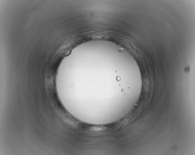 X0000091940375200709051308