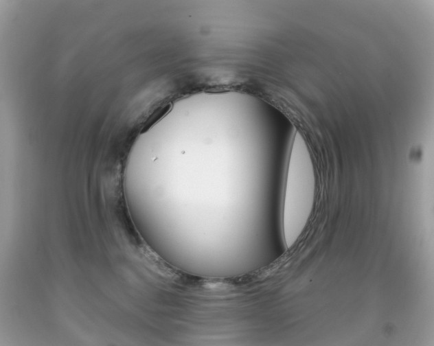 X0000091940376200709051308
