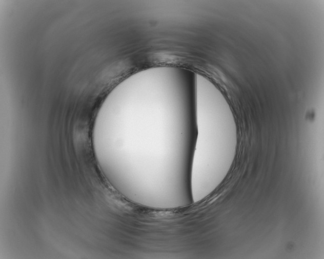 X0000091940377200709051308