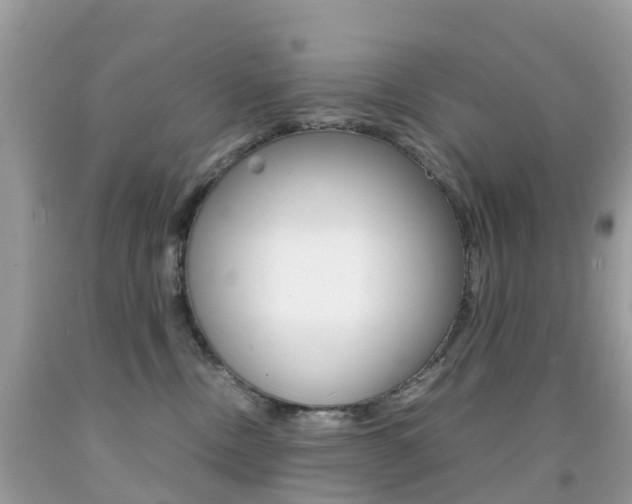 X0000091940378200709051308
