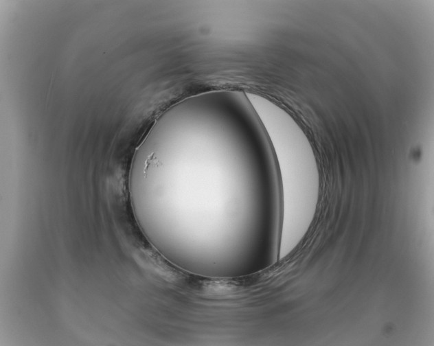 X0000091940380200709051308