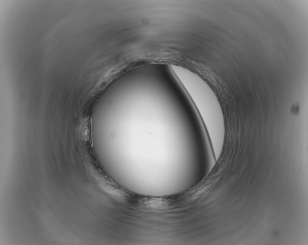 X0000091940383200709051308