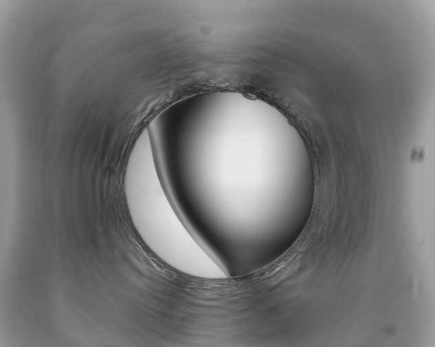 X0000091940384200709051308