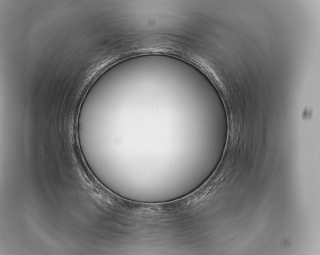 X0000091940386200709051307