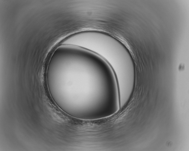 X0000091940387200709051307