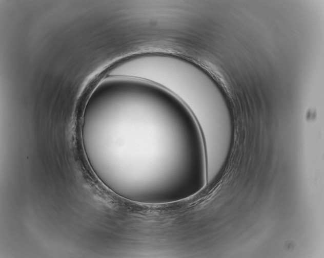 X0000091940388200709051307