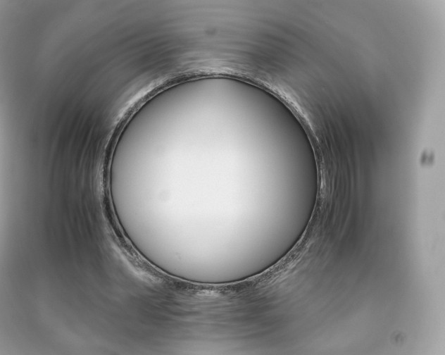 X0000091940390200709051307