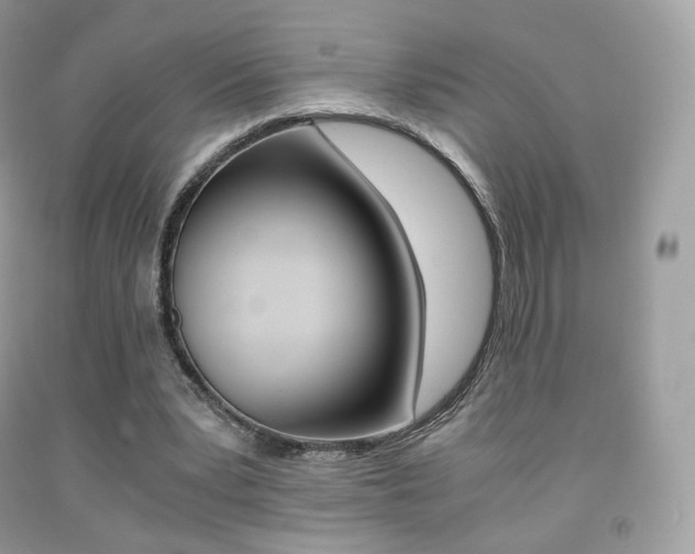 X0000091940391200709051307
